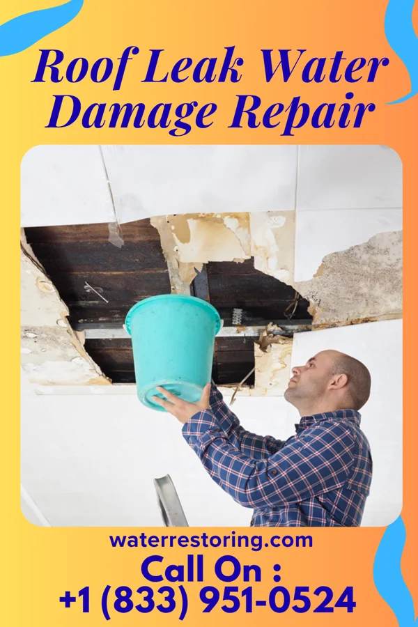 Roof Leak Water Damage Repair in Ansley, NE